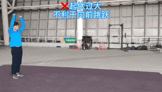 烟草价格,市场动态与影响因素