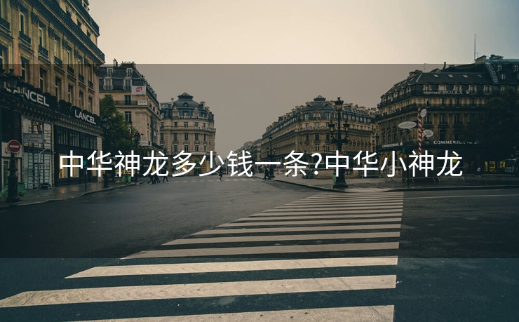 中华神龙多少钱一条?中华小神龙
