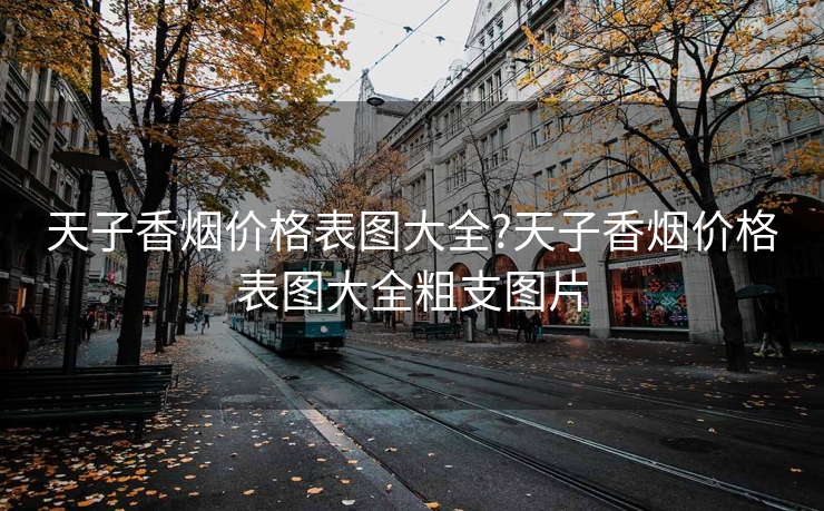 天子香烟价格表图大全?天子香烟价格表图大全粗支图片